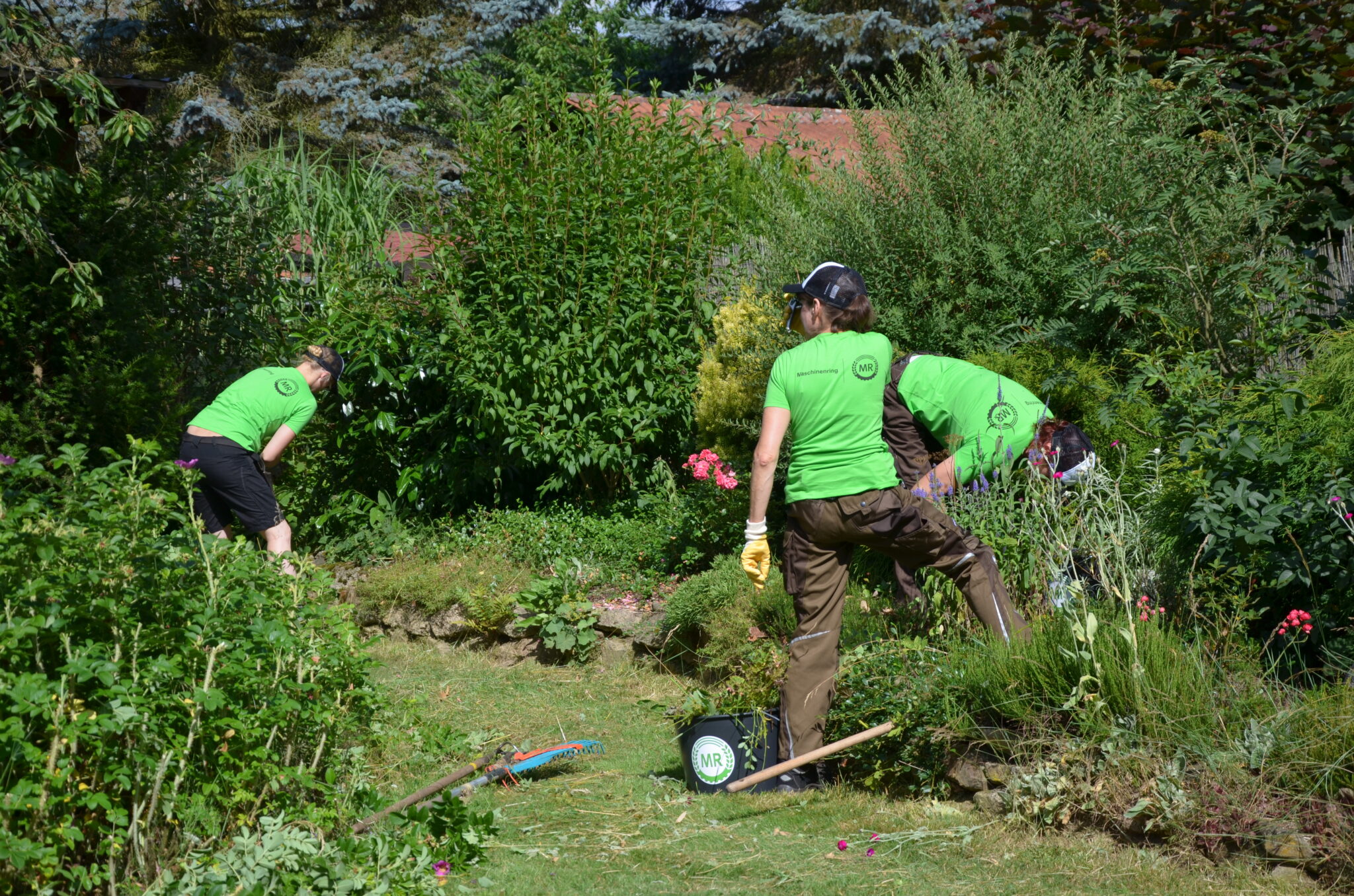 Gruenflaechenpflege